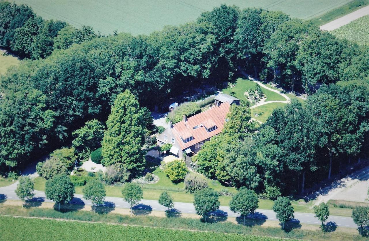 De Buitenhof *